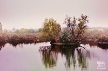 Delta Văcărești, Tea Tomescu